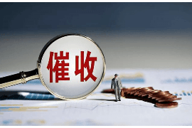 讨债公司与老赖：破解债务困境的博弈