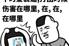 用砖头讨债怎么办？——法律途径与维权攻略
